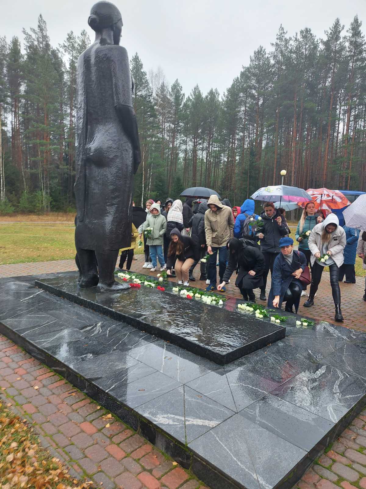 Диалоговая площадка «Дорогами мужества и стойкости» - Новости